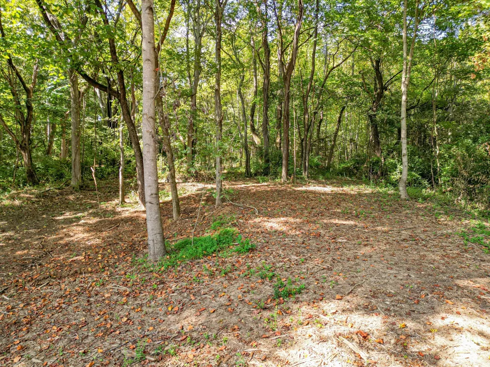 0 Old Highway 7 Columbia, TN 38401