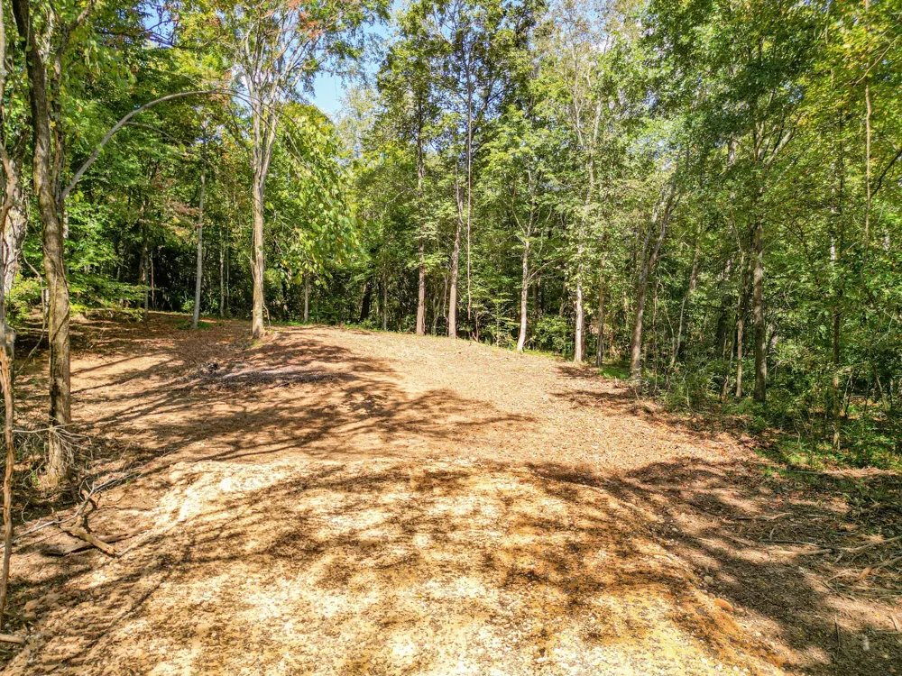 0 Old Highway 7 Columbia, TN 38401