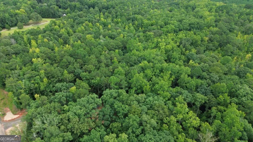0 Roosevelt HWY Warm Springs, GA 31830