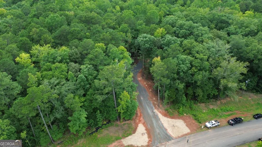 0 Roosevelt HWY Warm Springs, GA 31830