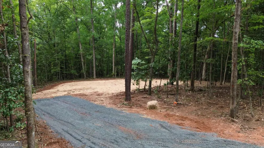 0 Roosevelt HWY Warm Springs, GA 31830