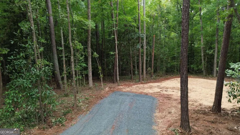 0 Roosevelt HWY Warm Springs, GA 31830