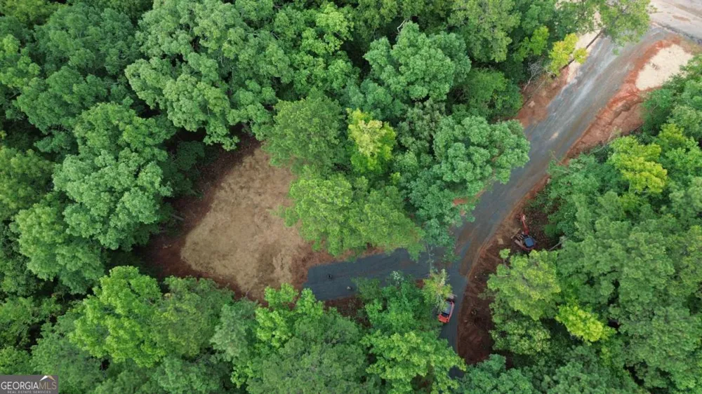 0 Roosevelt HWY Warm Springs, GA 31830