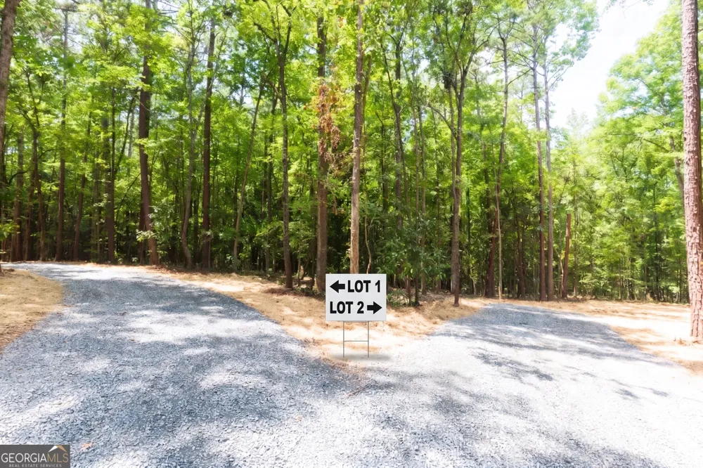 0 Roosevelt HWY Warm Springs, GA 31830