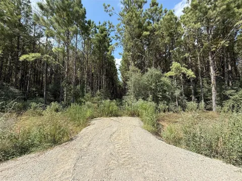 5700 Black Cat Road