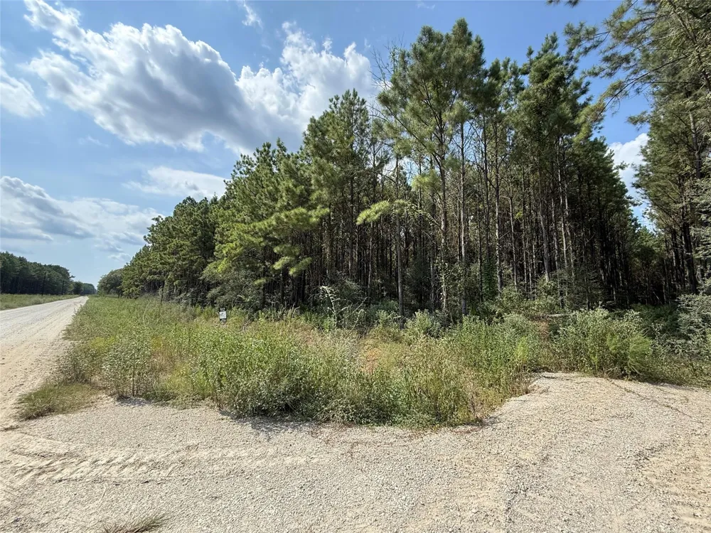 5700 Black Cat Road Sour Lake, TX 77659