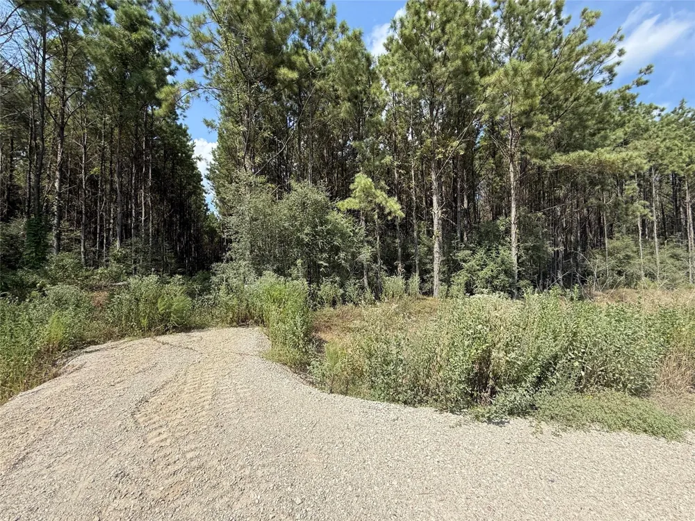 5700 Black Cat Road Sour Lake, TX 77659