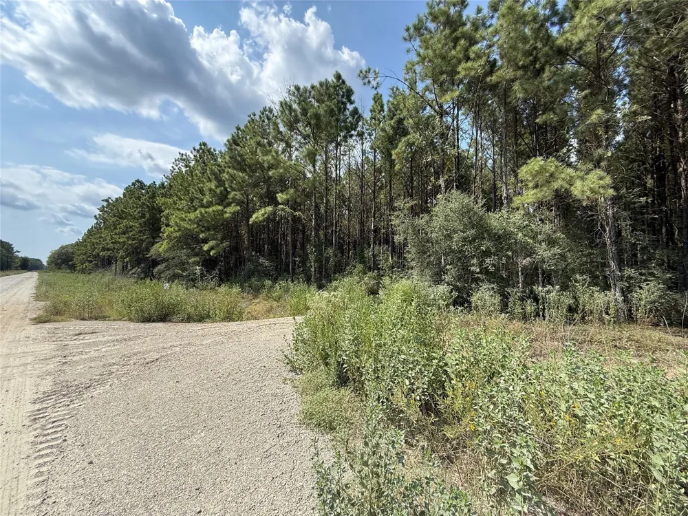 5700 Black Cat Road Sour Lake, TX 77659