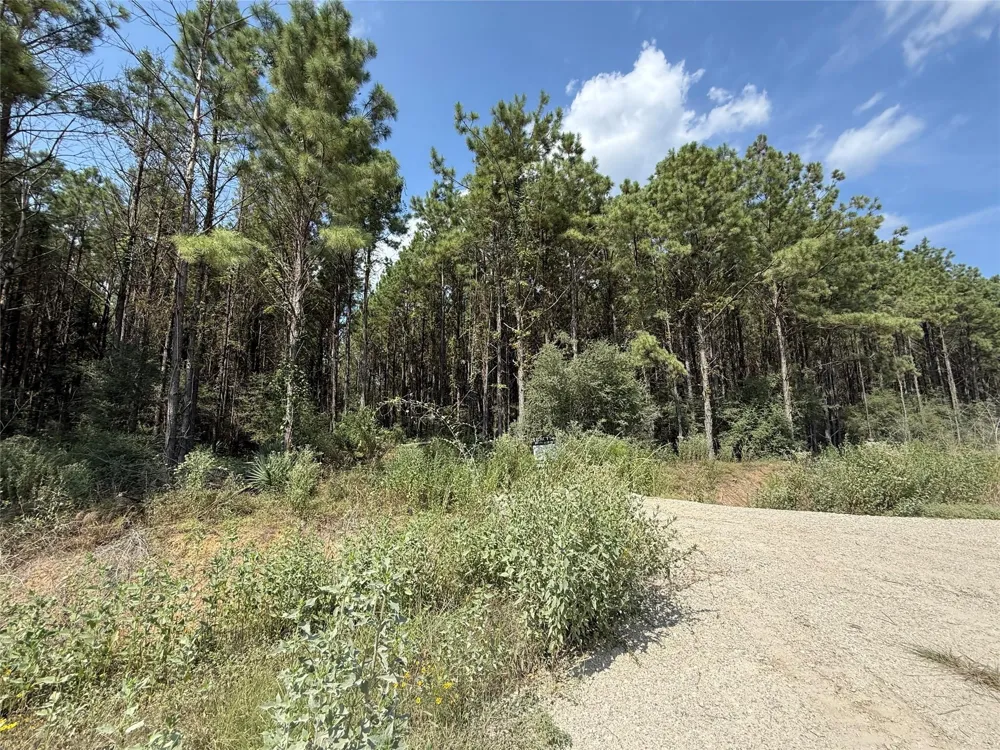 5700 Black Cat Road Sour Lake, TX 77659
