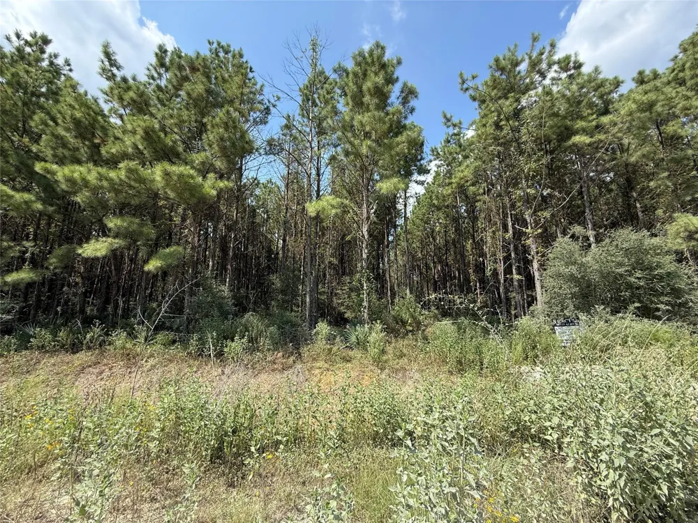 5700 Black Cat Road Sour Lake, TX 77659
