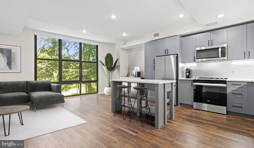 4000 WISCONSIN AVENUE NW #4K-245 Washington, DC 20016