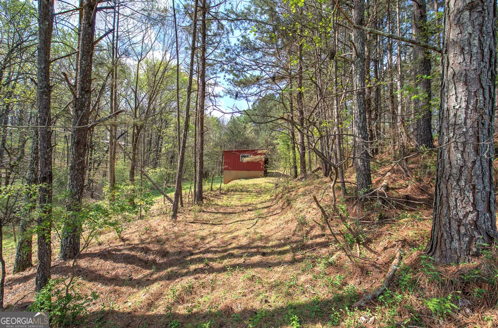 75 Star Wars PATH Dallas, GA 30132