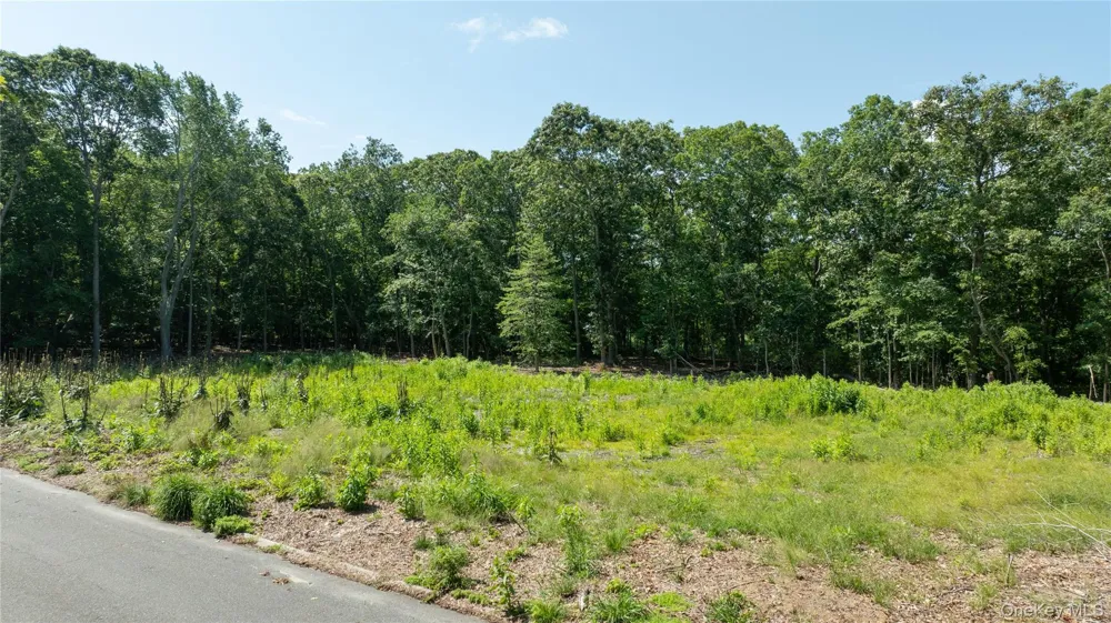 22 Inlet View Path East Moriches, NY 11940