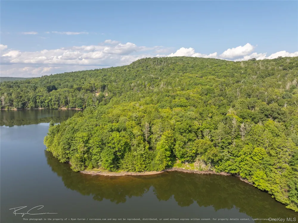 Old Plank Road Forestburgh, NY 12777