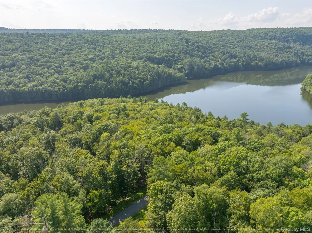 Old Plank Road Forestburgh, NY 12777