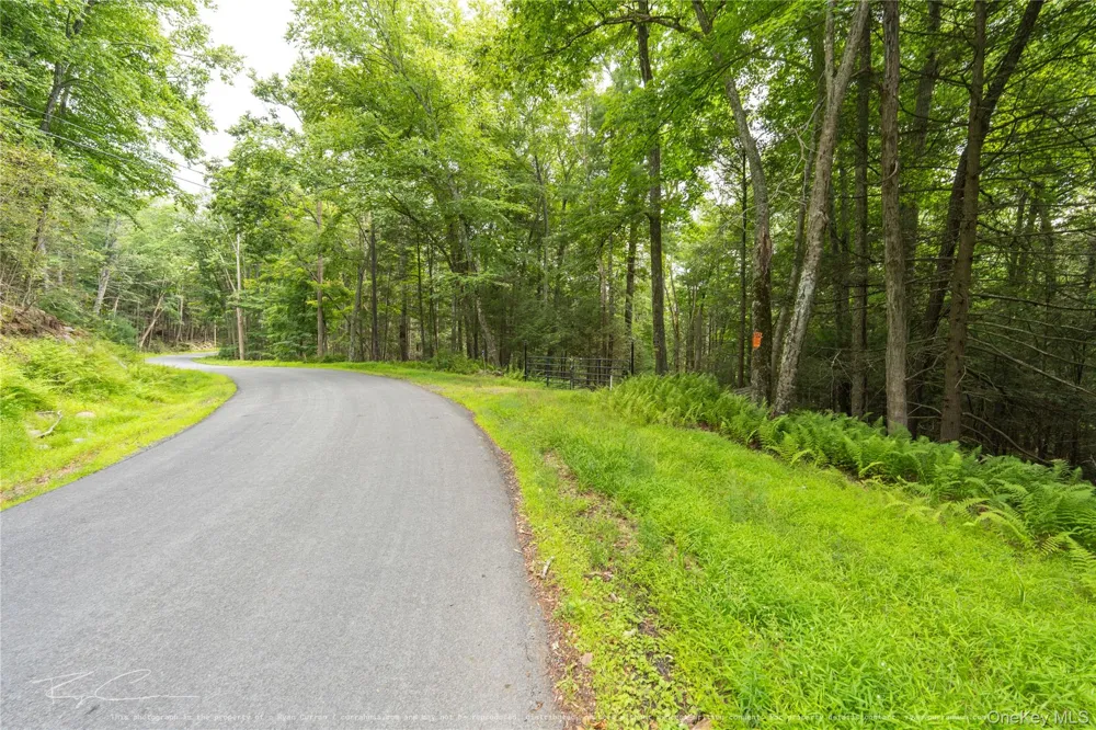 Old Plank Road Forestburgh, NY 12777
