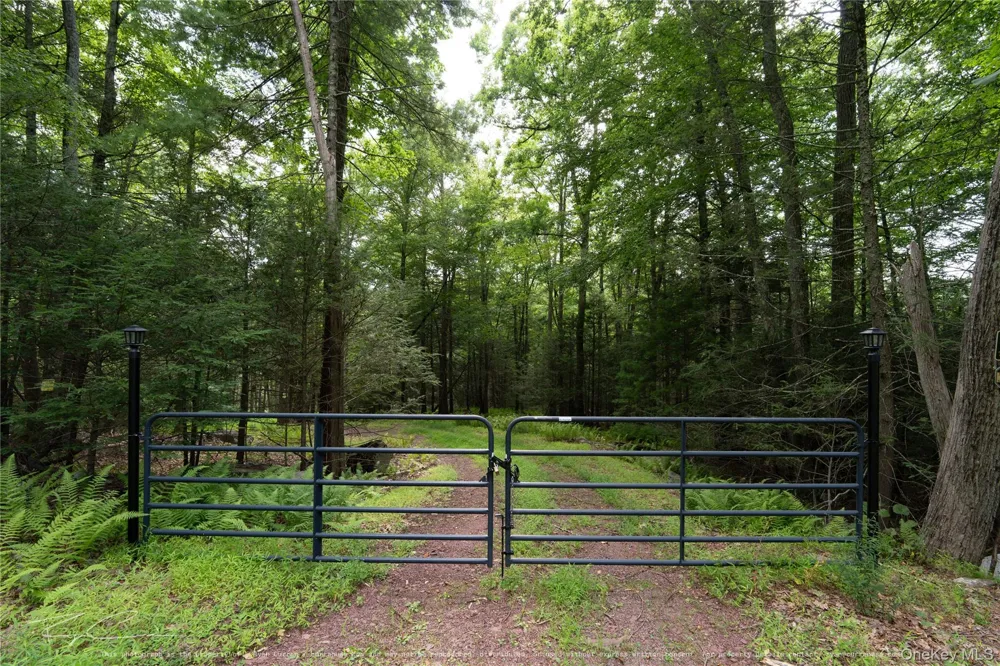 Old Plank Road Forestburgh, NY 12777
