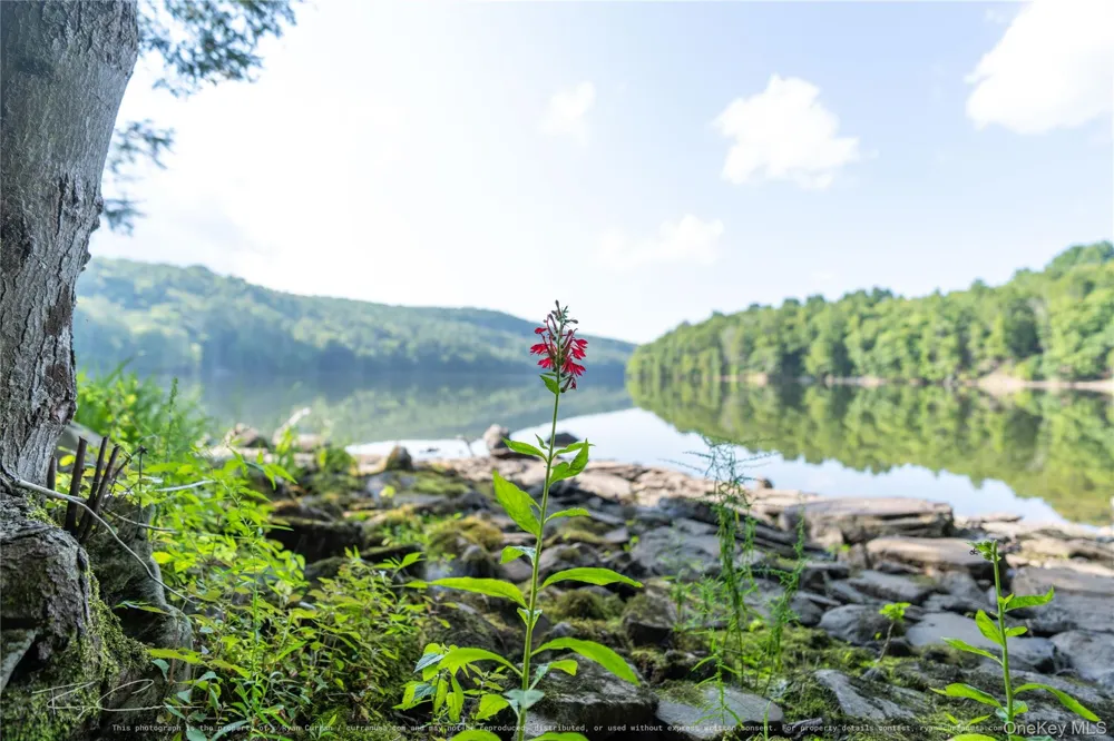 Old Plank Road Forestburgh, NY 12777