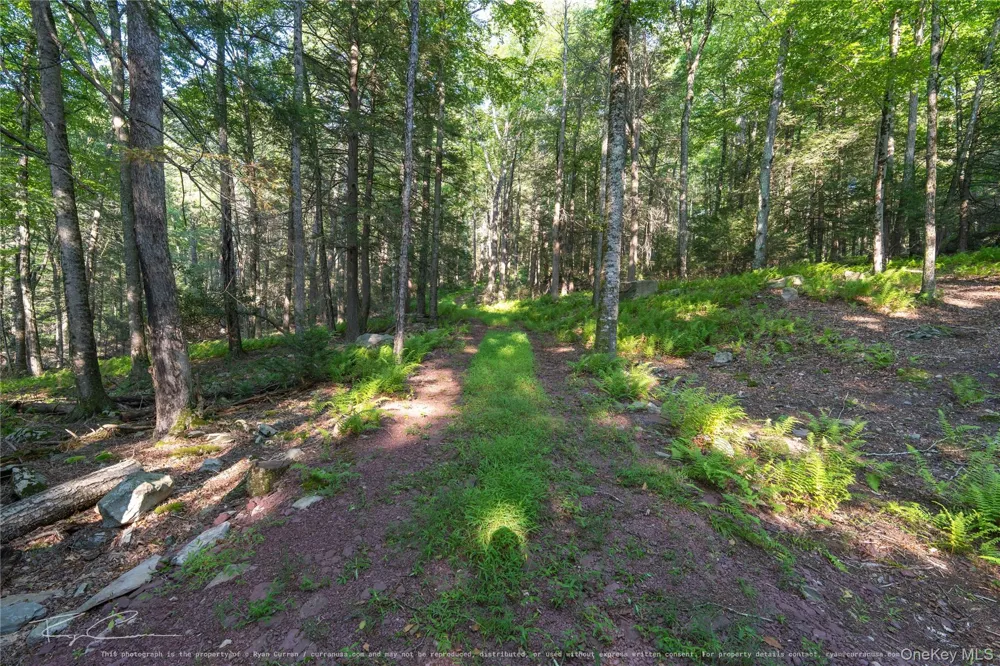 Old Plank Road Forestburgh, NY 12777