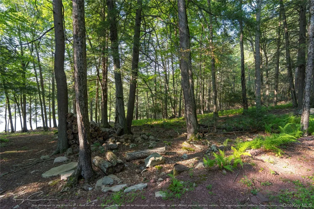 Old Plank Road Forestburgh, NY 12777