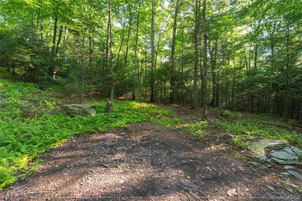Old Plank Road Forestburgh, NY 12777