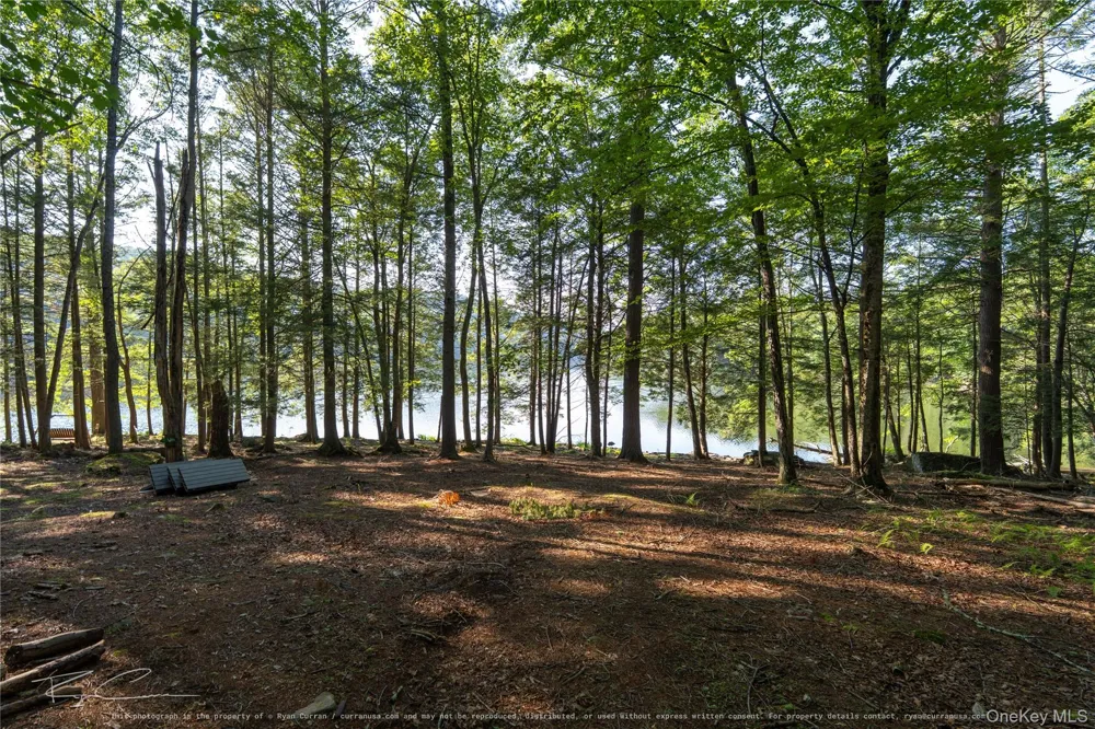 Old Plank Road Forestburgh, NY 12777