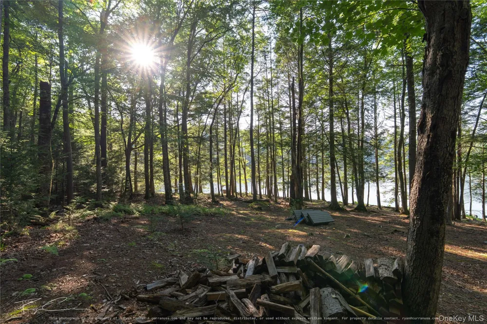 Old Plank Road Forestburgh, NY 12777