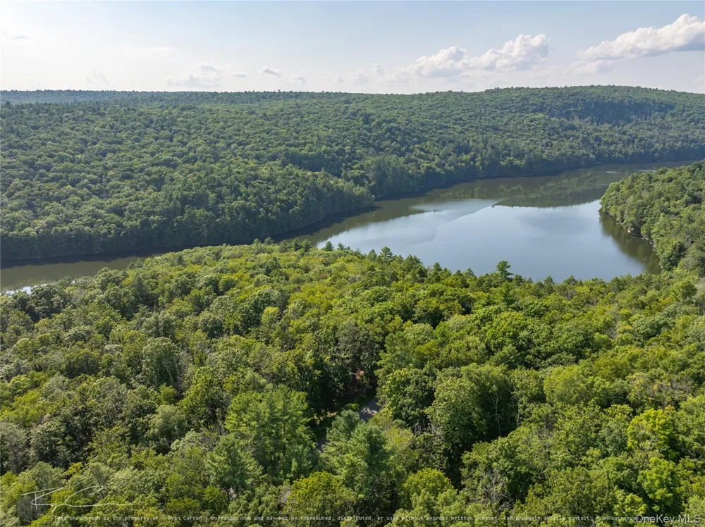 Old Plank Road Forestburgh, NY 12777