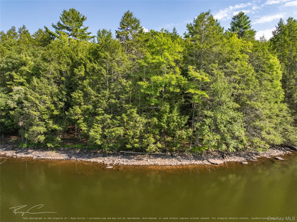 Old Plank Road Forestburgh, NY 12777