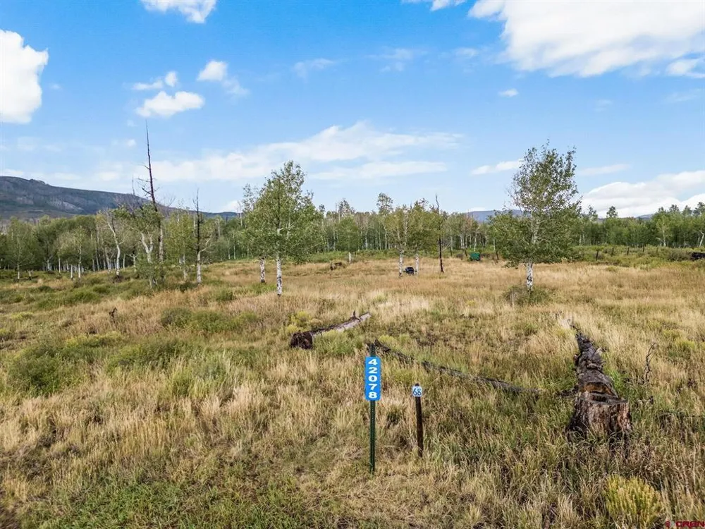 42078 Road E.P Loop Dolores, CO 81320