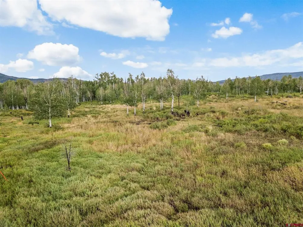 42078 Road E.P Loop Dolores, CO 81320