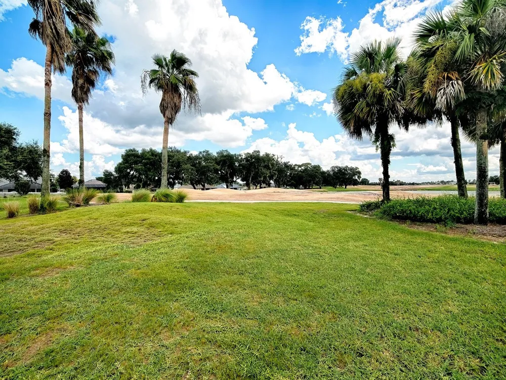 2445 BUTTONWOOD RUN The Villages, FL 32162