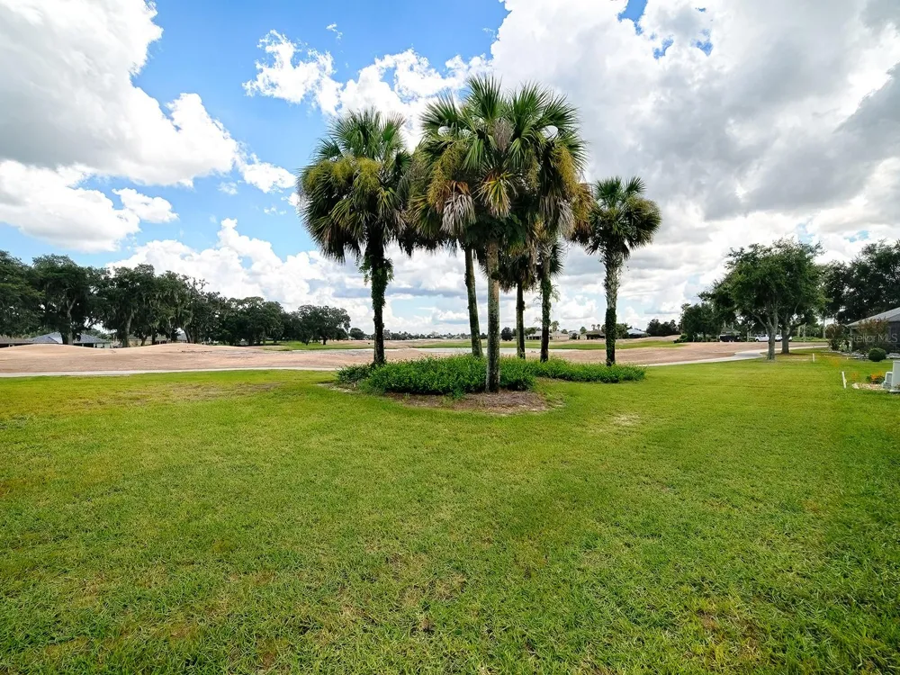2445 BUTTONWOOD RUN The Villages, FL 32162