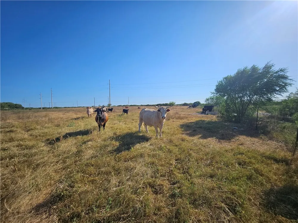 24024 441 CIRCLE Mathis, TX 78368