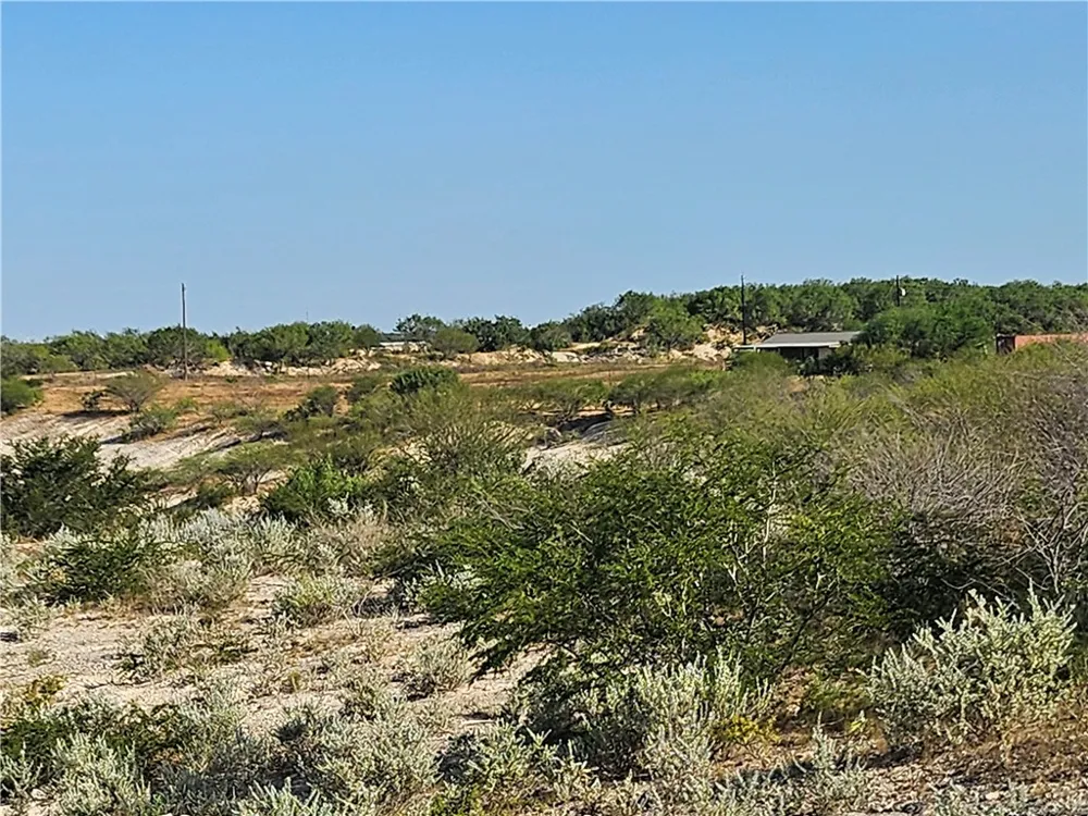 24024 441 CIRCLE Mathis, TX 78368