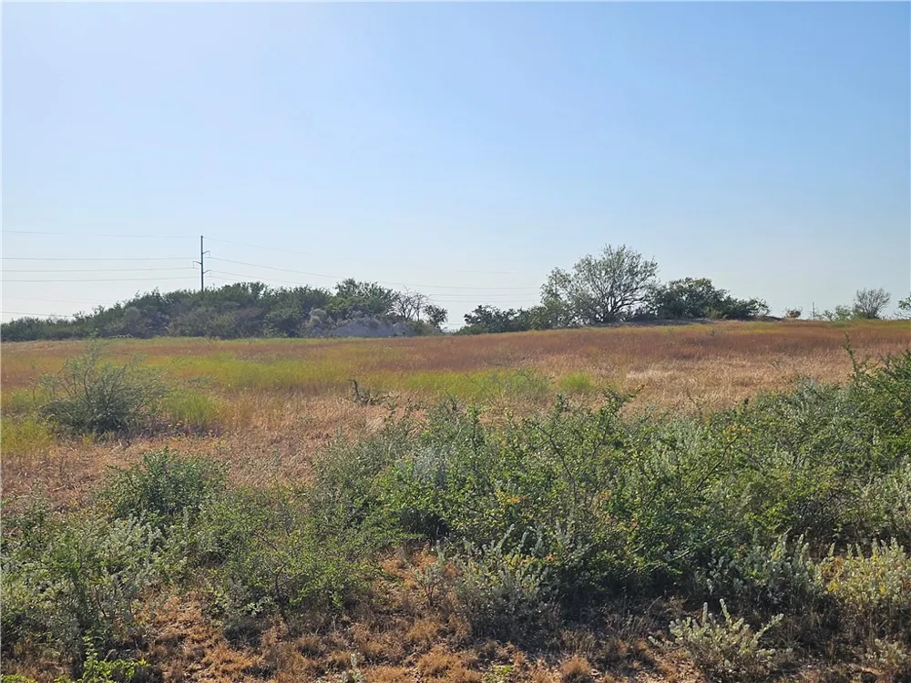 24024 441 CIRCLE Mathis, TX 78368
