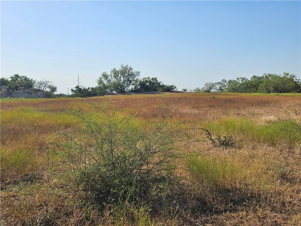 24024 441 CIRCLE Mathis, TX 78368