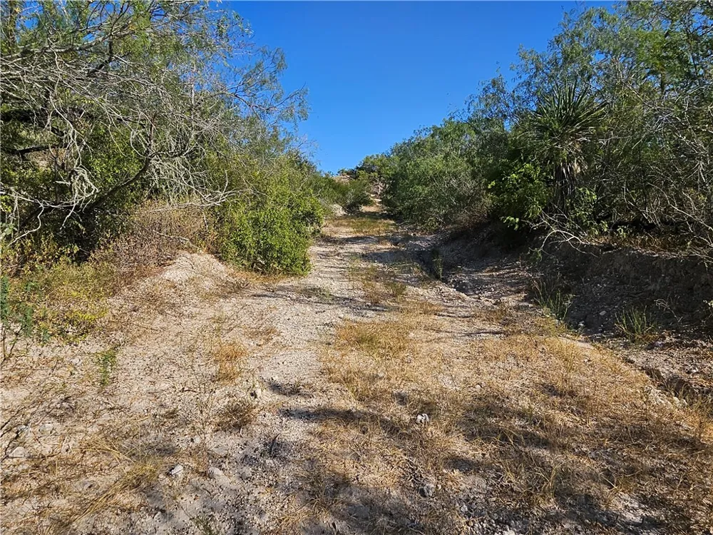 24024 441 CIRCLE Mathis, TX 78368
