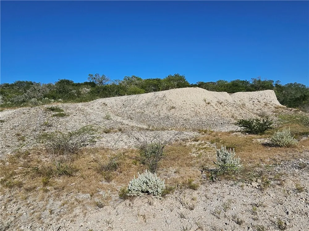 24024 441 CIRCLE Mathis, TX 78368