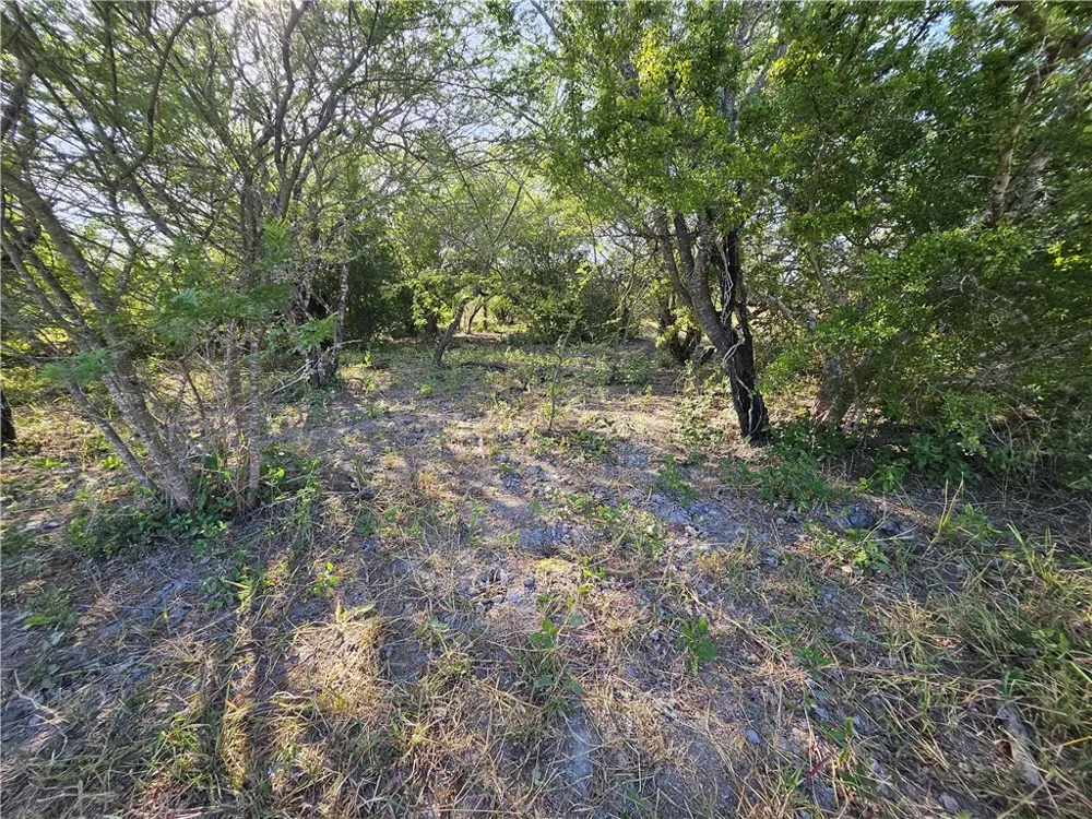 24024 441 CIRCLE Mathis, TX 78368