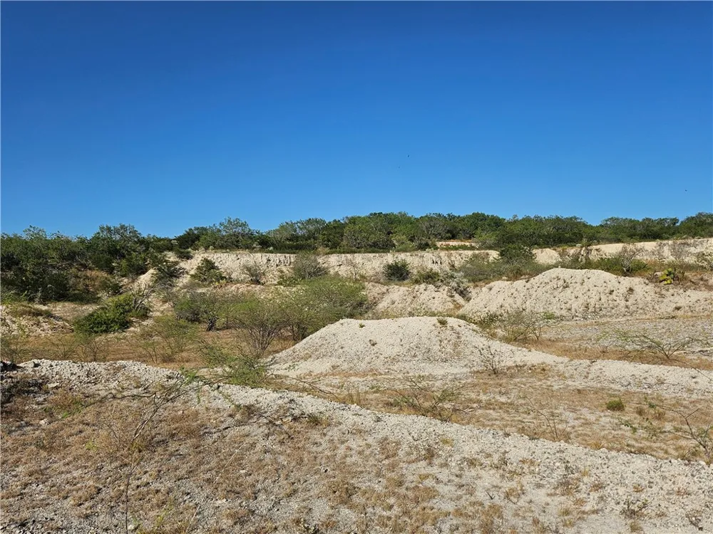 24024 441 CIRCLE Mathis, TX 78368