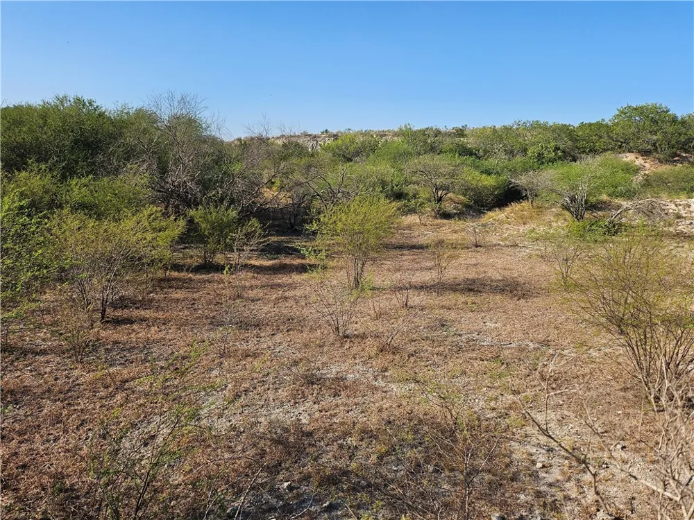24024 441 CIRCLE Mathis, TX 78368