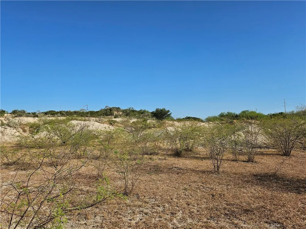 24024 441 CIRCLE Mathis, TX 78368