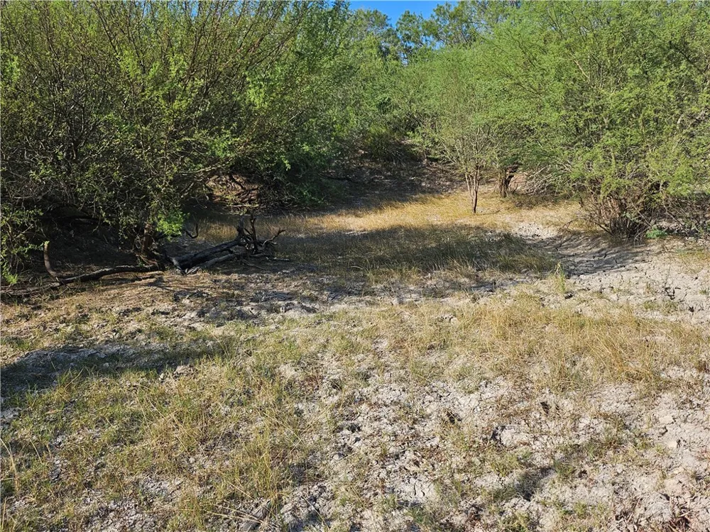 24024 441 CIRCLE Mathis, TX 78368