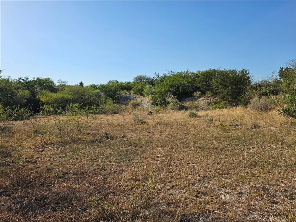 24024 441 CIRCLE Mathis, TX 78368