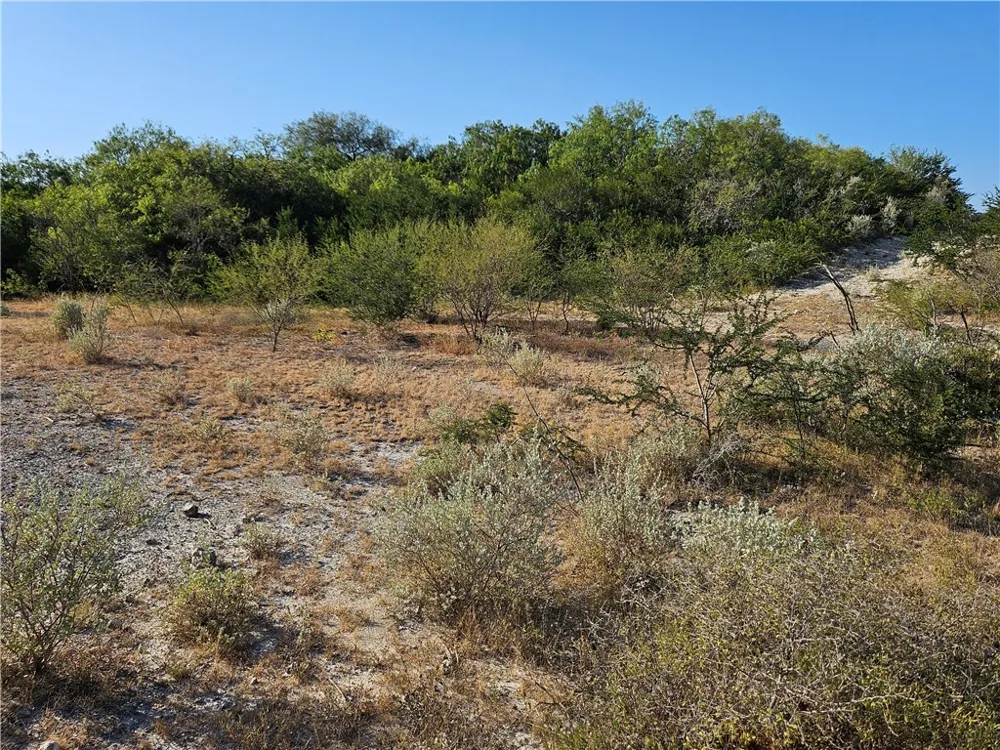 24024 441 CIRCLE Mathis, TX 78368