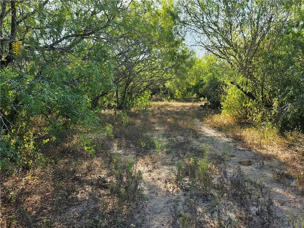 24024 441 CIRCLE Mathis, TX 78368