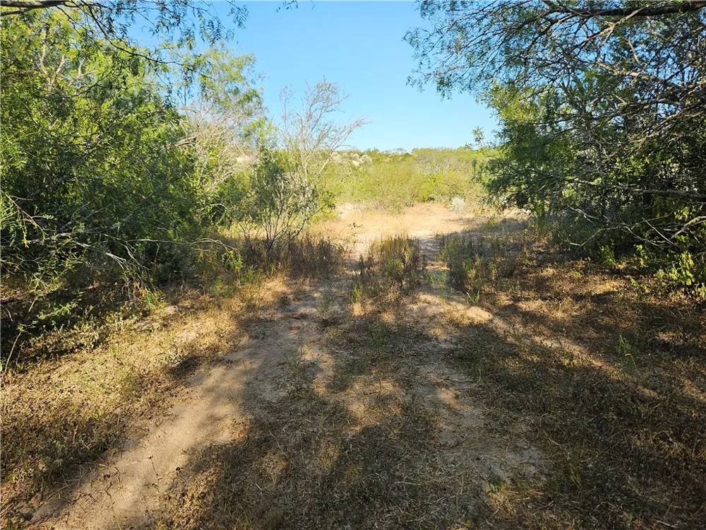 24024 441 CIRCLE Mathis, TX 78368