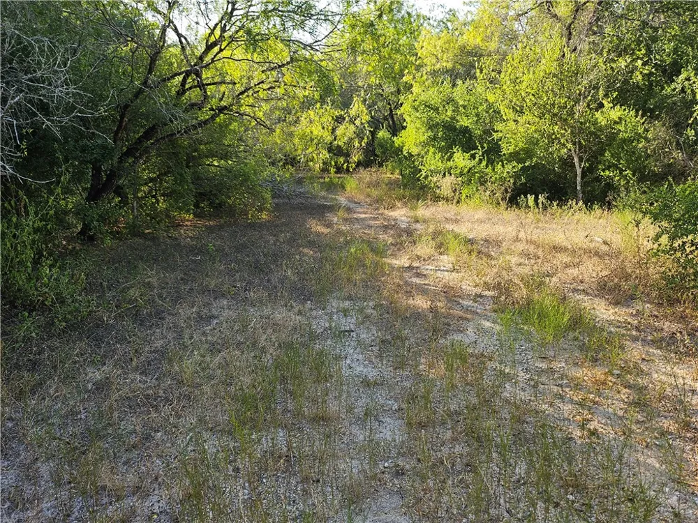 24024 441 CIRCLE Mathis, TX 78368
