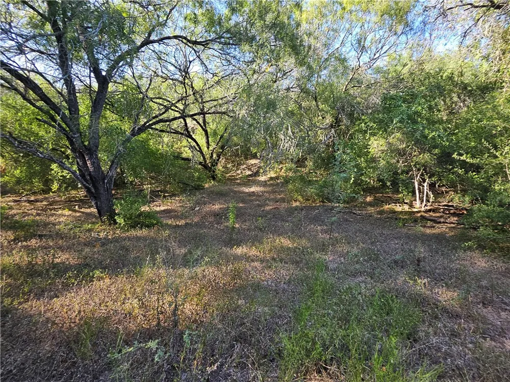 24024 441 CIRCLE Mathis, TX 78368